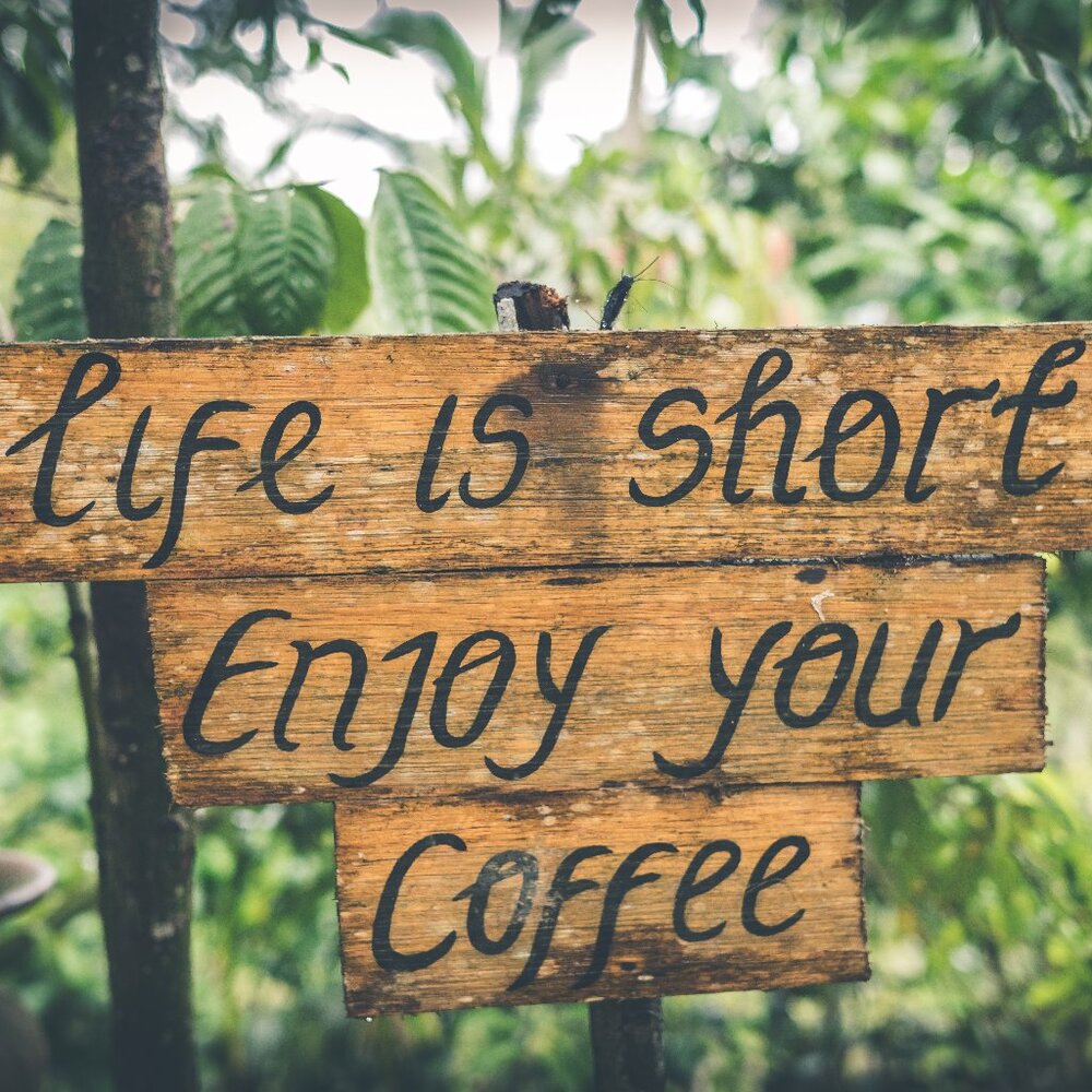 Meet your Posher, C.C.